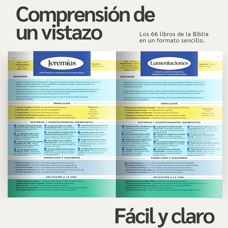 The Bible Summary and Outlines (Spanish) Clear Guide to the 66 Books Ideal for Personal Study