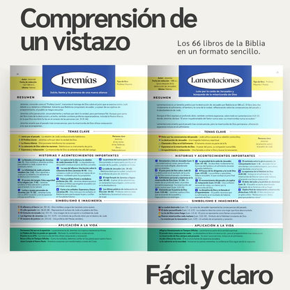The Bible Summary and Outlines (Spanish) Clear Guide to the 66 Books Ideal for Personal Study