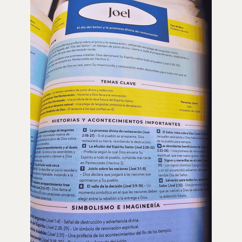 The Bible Summary and Outlines (Spanish) Clear Guide to the 66 Books Ideal for Personal Study